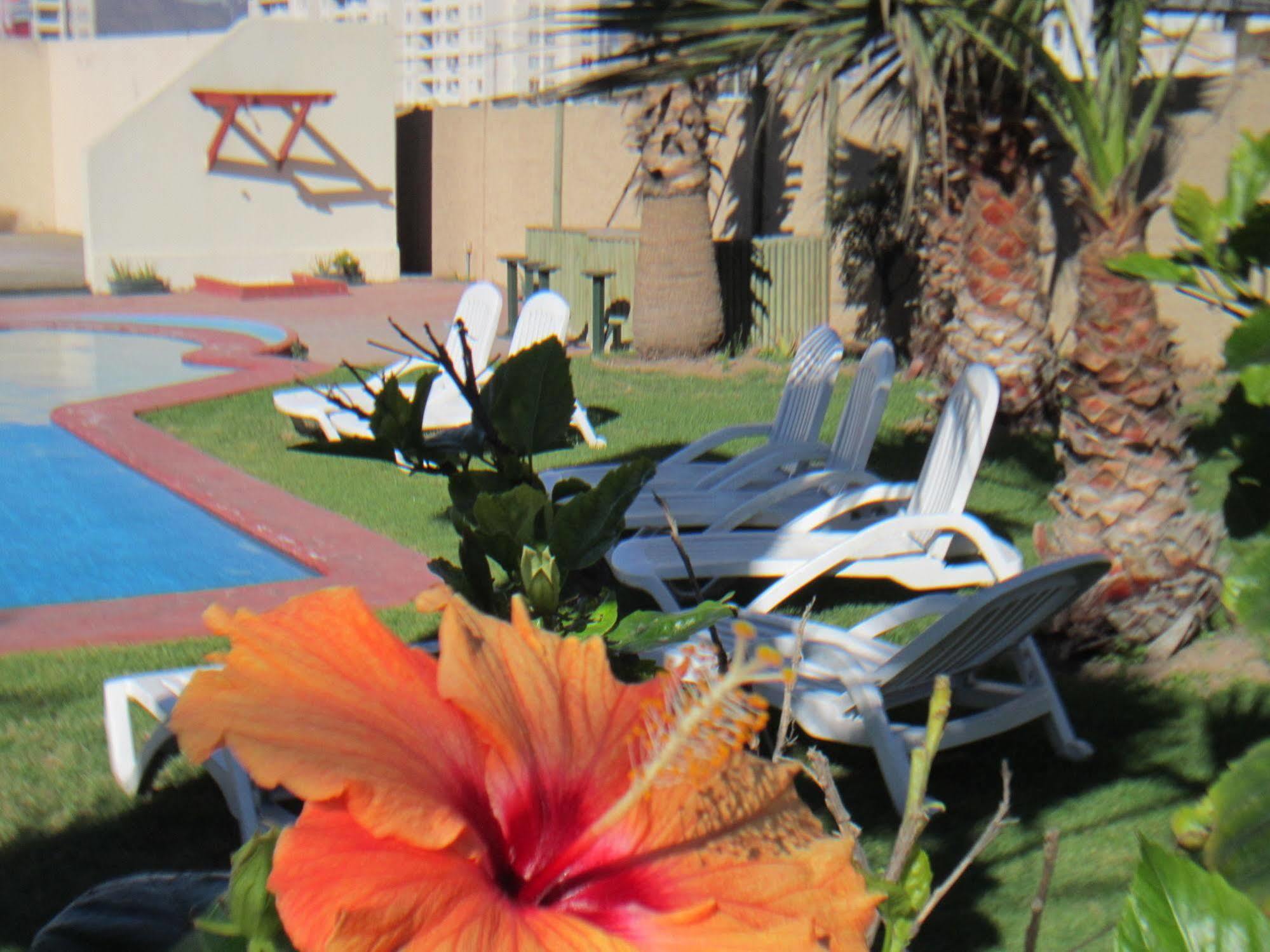 Hotel Canto Del Mar La Serena Dış mekan fotoğraf